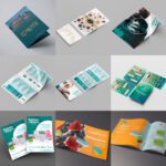 cat catalogos