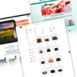 desenvolvimento lojas digitais ecommerce